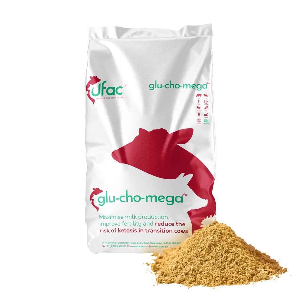 glu-cho-mega packaging