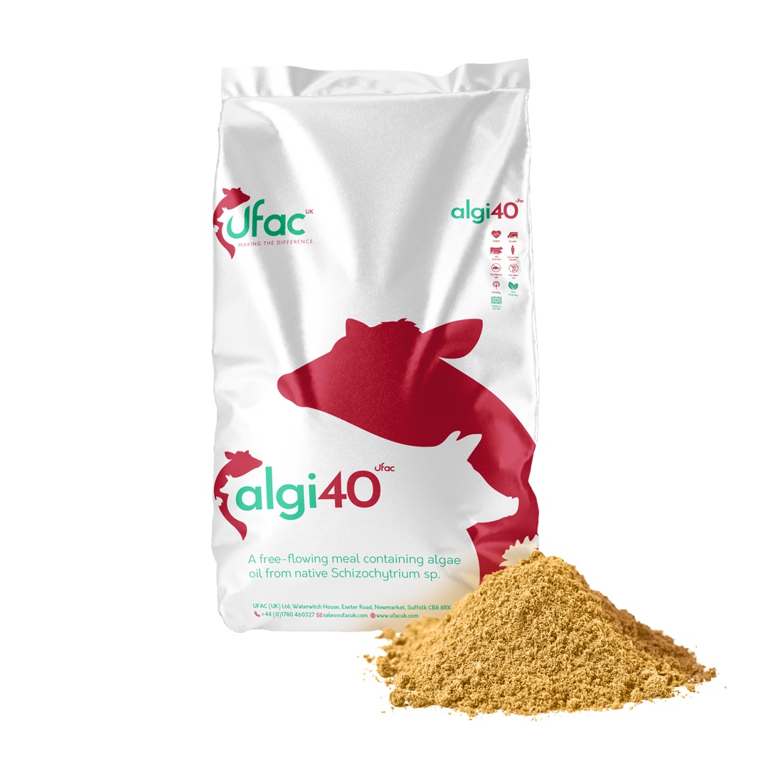 Algi40 product image